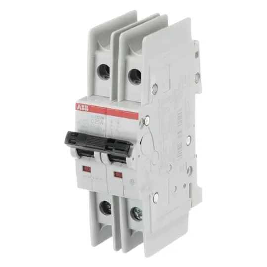 Interruttore magnetotermico ABB, 2P 25A 15 kA, Tipo C
